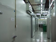 5000平冷冻库设备造价需要多少钱，冷库总投资多少