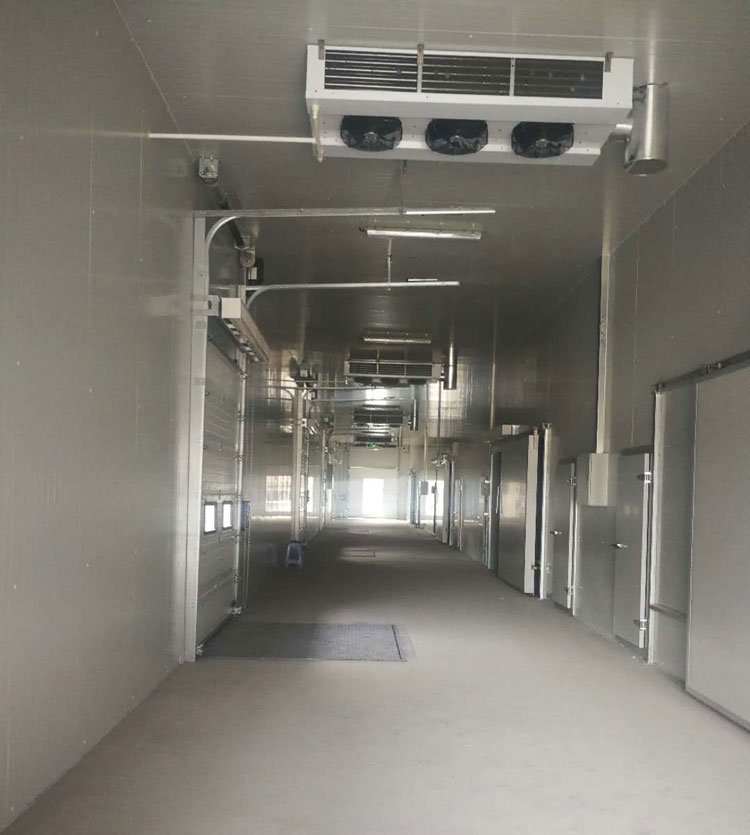 5000m3冷链物流工程建设,低温物流仓库安装制冷设备投资预算