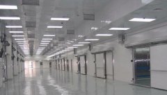预建50000立方米食品冷库造价，冷库造价多少钱一立方米