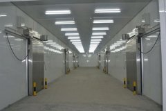 快速制冷、速冻冷库每立方米造价多少
